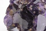 Dark Purple Amethyst Cluster w/ Goethite - Large Points #206893-3